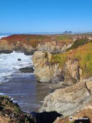 Coastal Trail