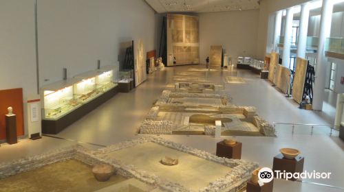 Archaeological Museum of Patras