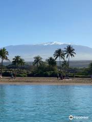 Ocean Sports Whale Watch Adventure