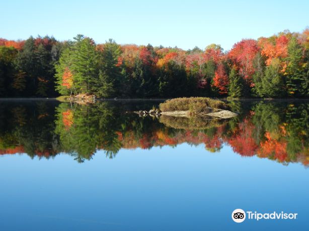 Muskoka