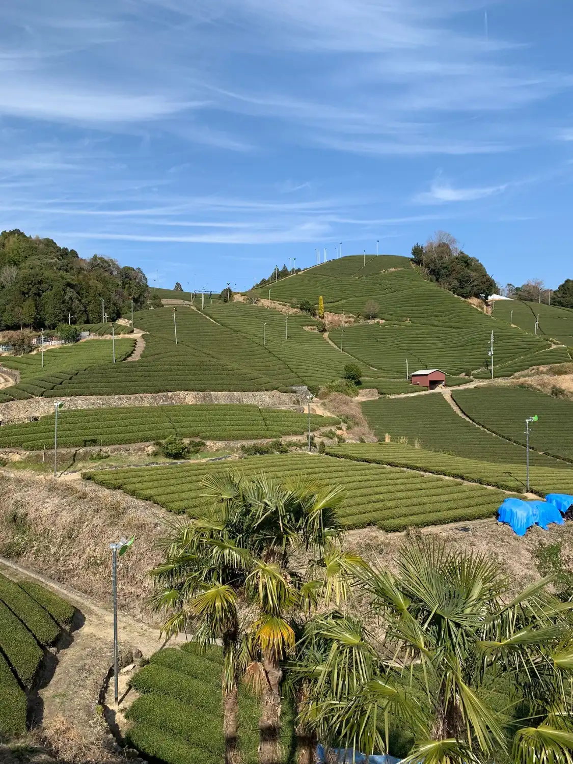 Hotels near Ishitera Tea Plantation
