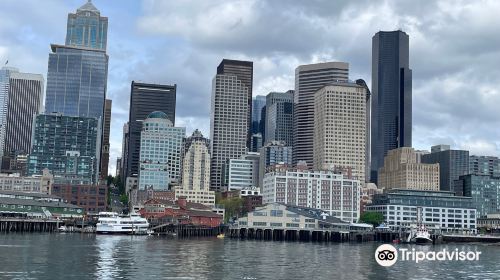 Salish Sea Tours