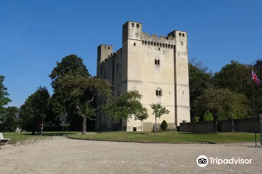 Donjon de Chambois