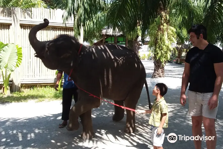 Mai khao Elephant home