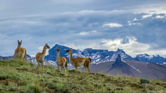 Patagonia Profunda - Safari Experience