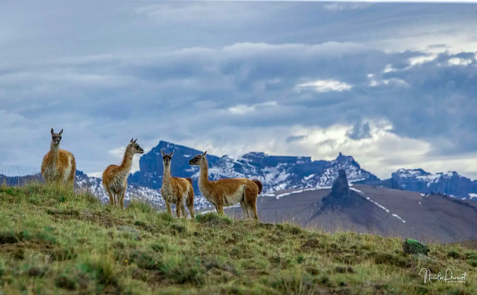 Hotels near Patagonia Profunda - Safari Experience