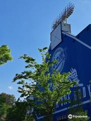 Daegu Samsung Lions Park