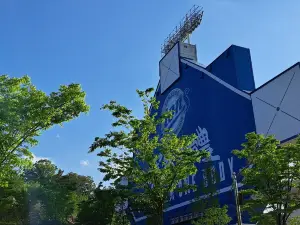 Daegu Samsung Lions Park