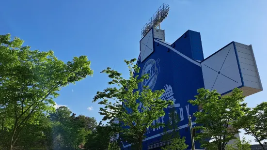 Daegu Samsung Lions Park