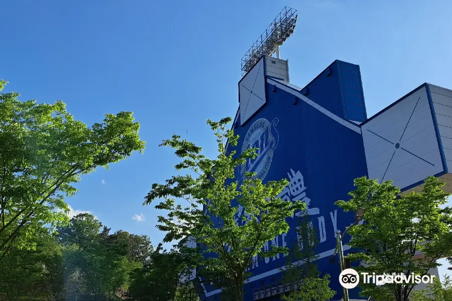 Daegu Samsung Lions Park