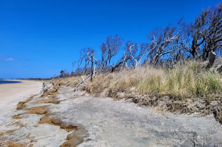 Cape May County