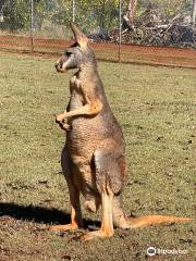 スネークス・ダウナンダー・レプタイル・パーク・アンド動物園