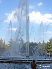 Fontaine musicale