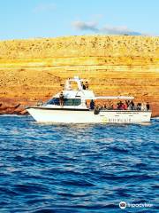 Reefwalker Ocean Discovery Kalbarri