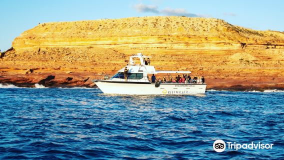 Reefwalker Ocean Discovery