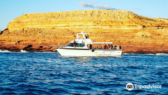 Reefwalker Ocean Discovery