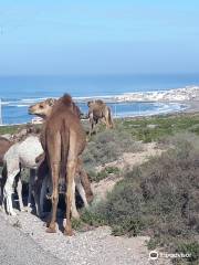 Agadir Excursion