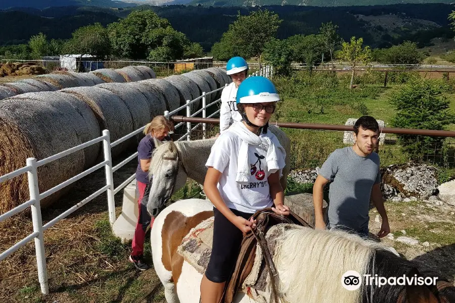 Centro Ippico e Maneggio Le Foche a Pescasseroli