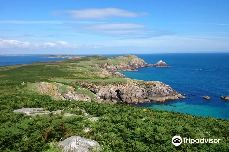 Saltee Islands