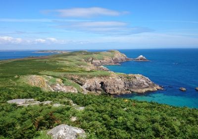 Saltee Islands