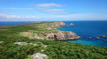 Saltee Islands