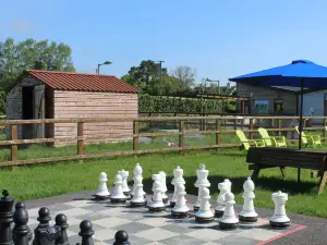 Mollie Moo's Pet Farm