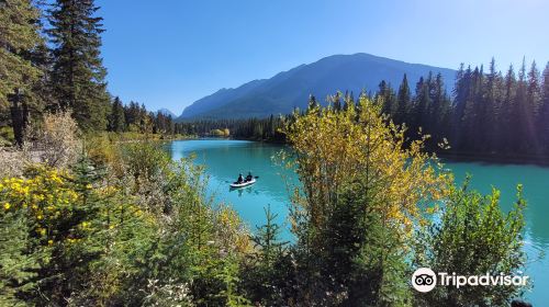 Bow River Trail