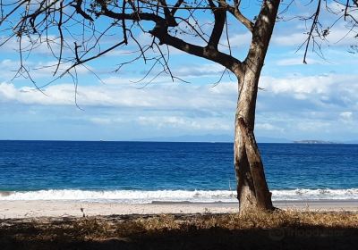 Puerto Viejo