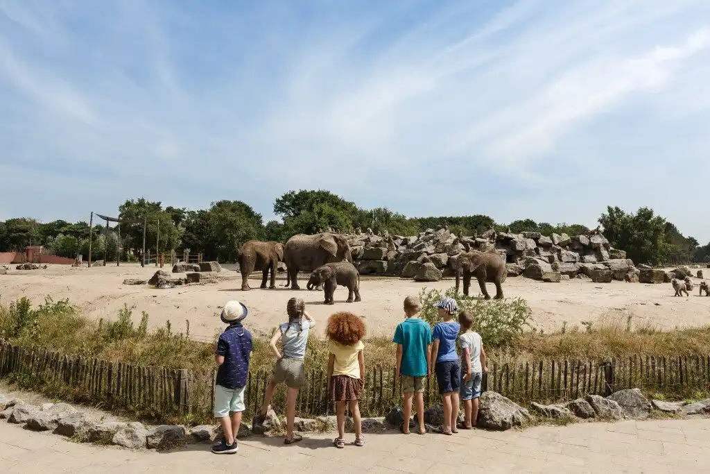 Hotels near Beekse Bergen Safari Park