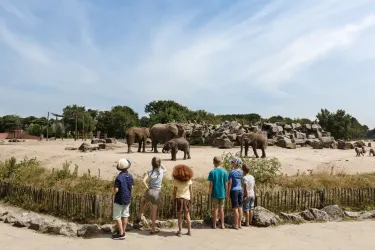 Beekse Bergen Safari Park