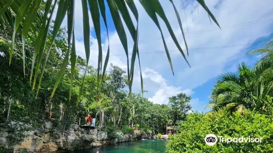 Casa Tortuga Tulum