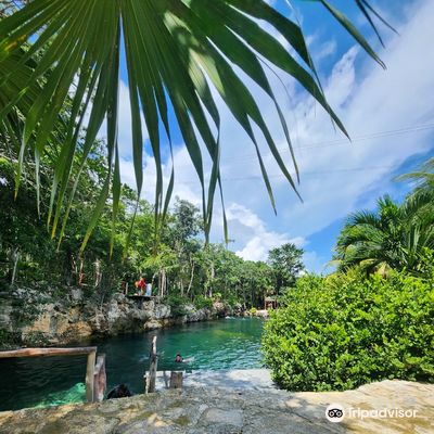 Casa Tortuga Tulum
