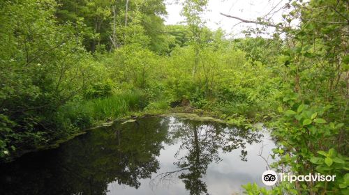 Mass Audubon's Broadmoor Wildlife Sanctuary