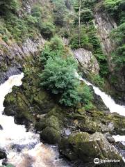 Conwy Falls