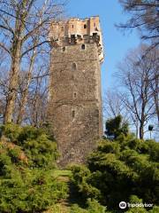 Piast tower in Cieszyn