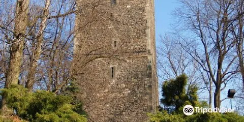 Piastowska Tower