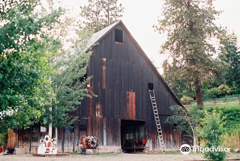 Leavenworth Reindeer Farm