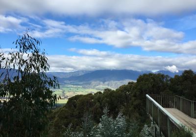 Mount Bogong Lookout