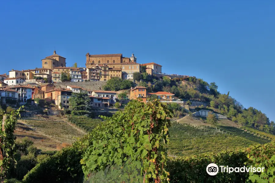 Langhe landscapes