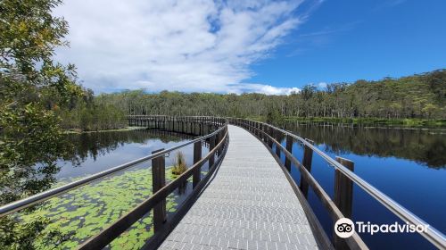 Urunga Wetlands Boardwalk