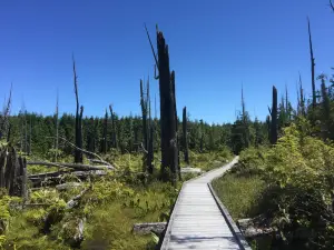 Alert Bay Ecological Park