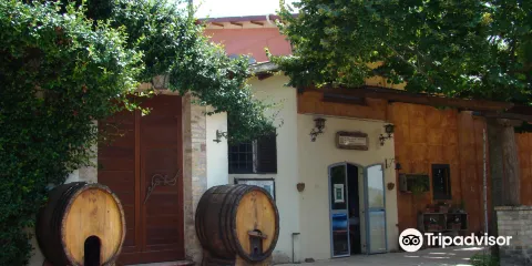 Cantina Fongoli