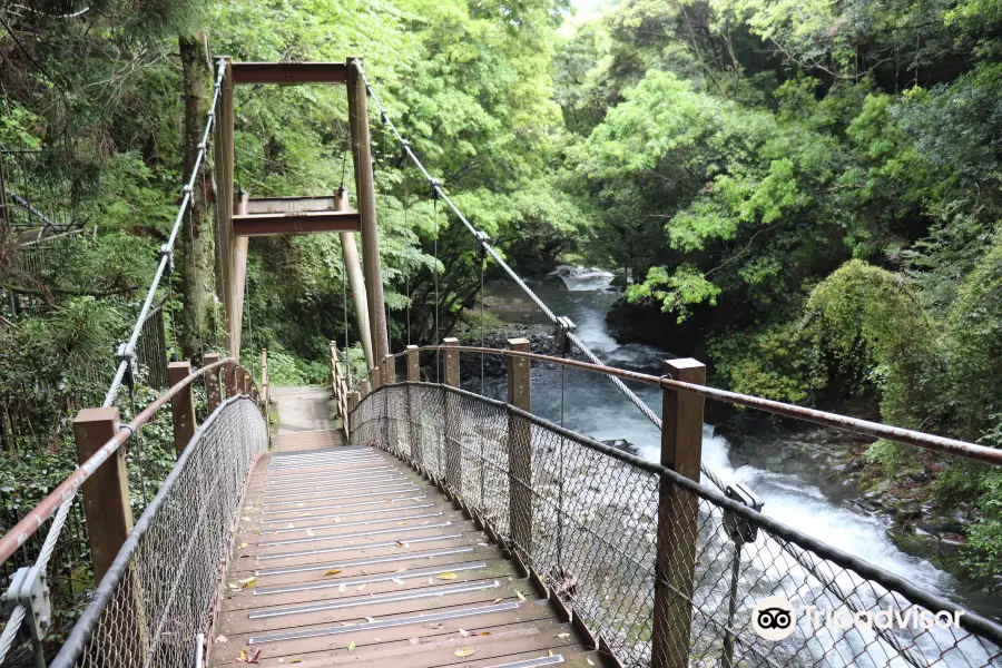 Kawazu Odoriko Takimi Bridge