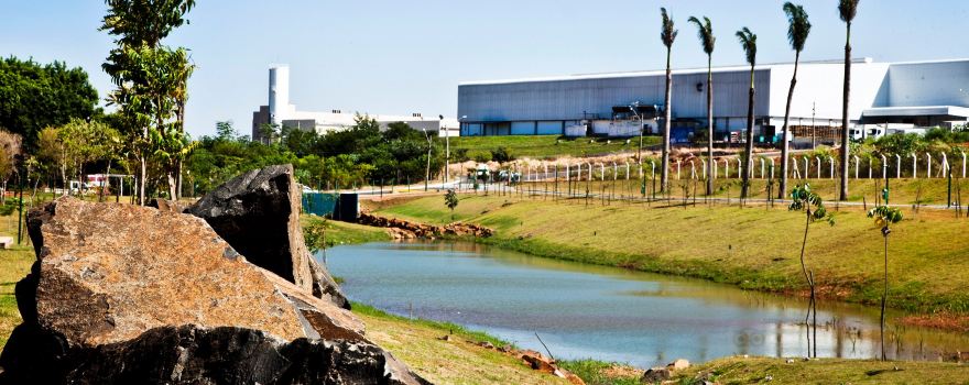 Jacarandas Park