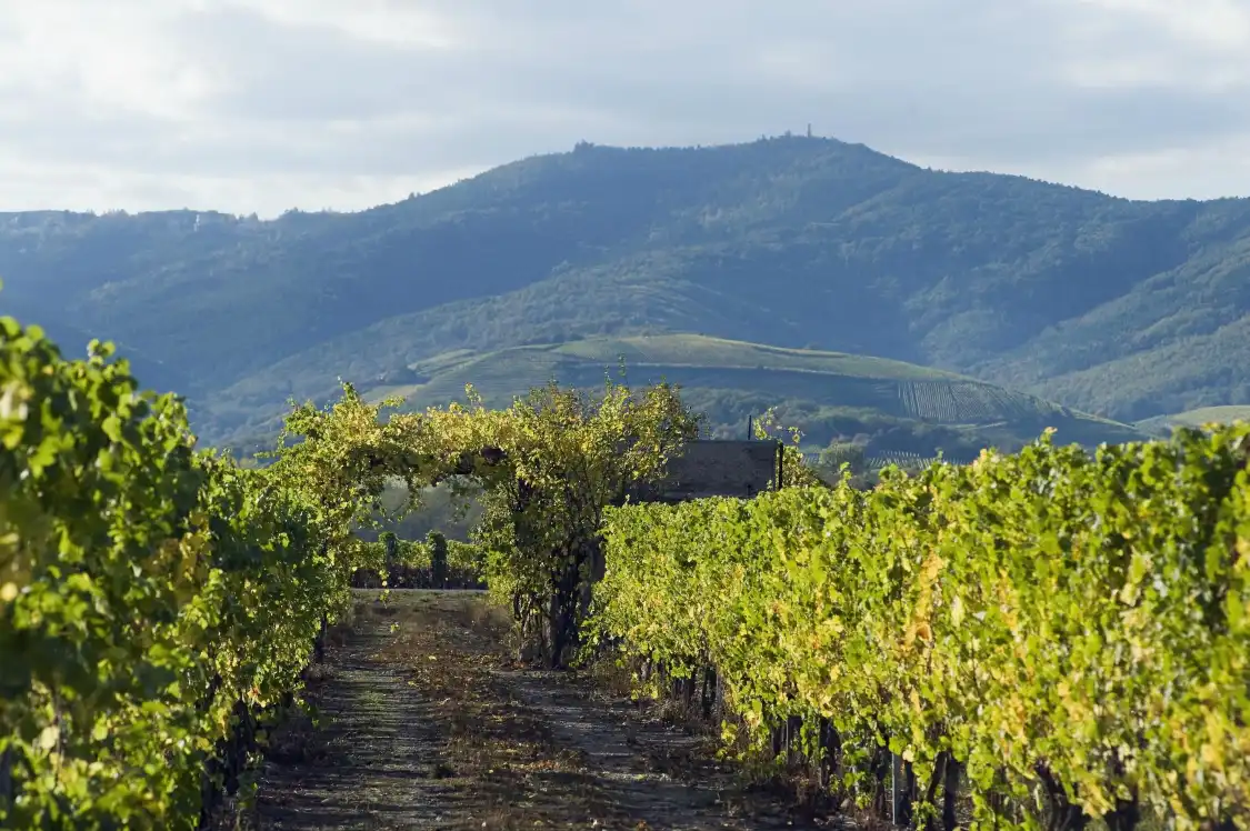 Hotels near Domaine Karcher et Fils