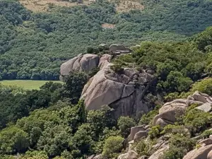 Ropotamo Nature Reserve
