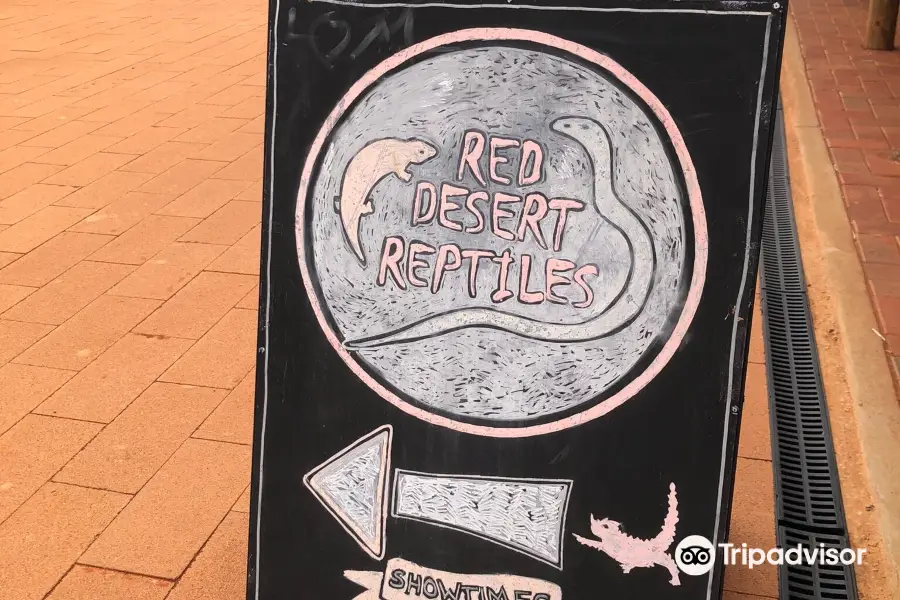 Red Desert Reptiles