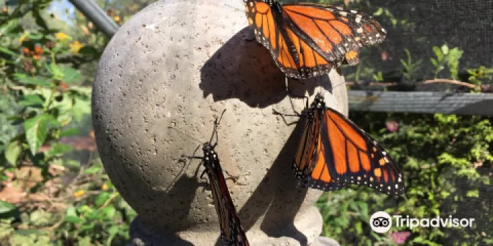 All A Flutter Farms LLC