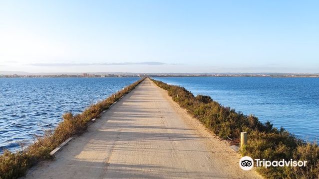 Salinas y Arenales de San Pedro del Pinatar