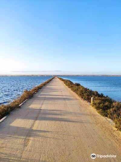 Salinas y Arenales de San Pedro del Pinatar
